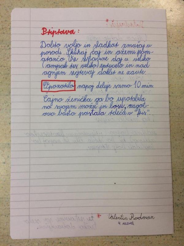 Valentin Rodman, 4. razred (3.)