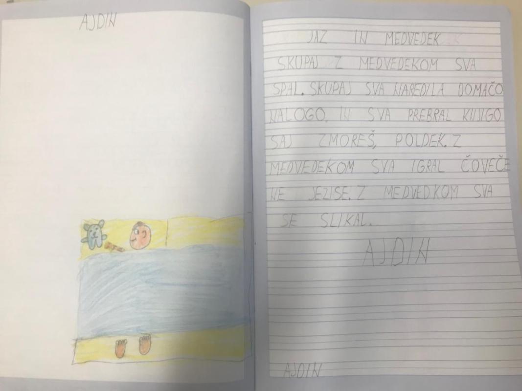 dnevnik3